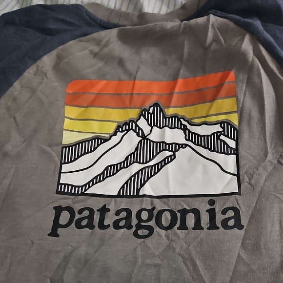 Patagonia Tops - Patagonia Gray Tee with Colorful Mountain Graphic